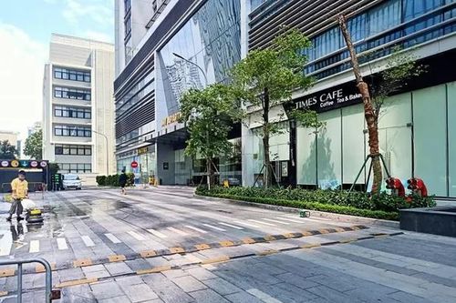 Đã xác định nguyên nhân đôi nam nữ tử vong dưới tòa chung cư 29 Liễu Giai