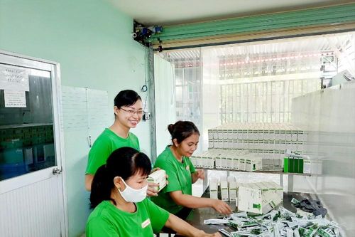 Khởi nghiệp 'ngược bão': Vươn tầm rau má Việt
