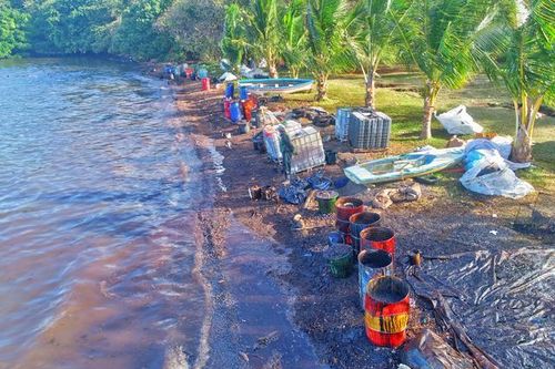 Mitsui OSK hỗ trợ khắc phục hậu quả vụ tràn dầu ở Mauritius