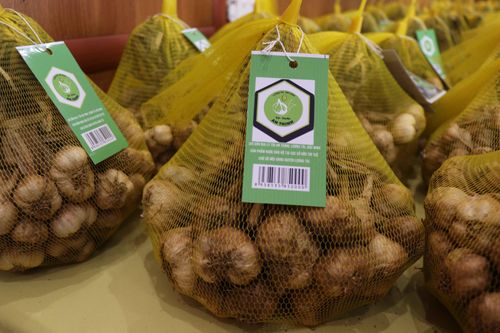 Sản phẩm tỏi An Thịnh được cấp chứng nhận chỉ dẫn địa lý
