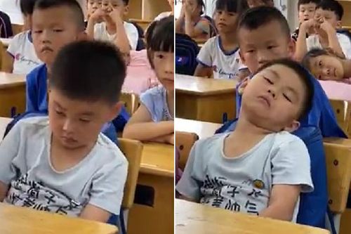 Clip: Đôi mắt lim dim, đầu ngất ngư vì buồn ngủ của cậu học trò nhỏ trong tiết học khiến cư dân mạng bật cười
