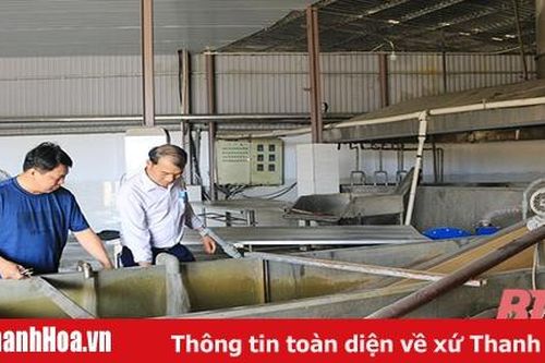 Bảo vệ môi trường tại các cơ sở chế biến thủy sản ở huyện Hoằng Hóa