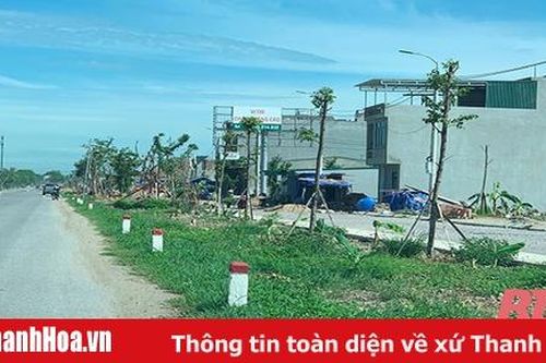 Nhiều vi phạm lòng, lề đường, vỉa hè, hành lang an toàn đường bộ
