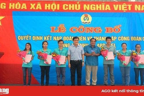 Thúc đẩy thành lập tổ chức Đảng, tổ chức chính trị - xã hội trong doanh nghiệp