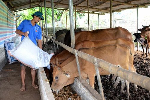 Thanh niên Hẹ Muông khởi nghiệp