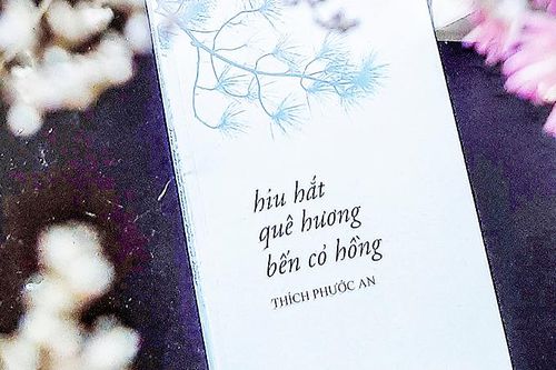 Hiu hắt quê hương bến cỏ hồng (*)