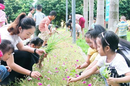Sớm ổn định nền nếp để dạy tốt, học tốt