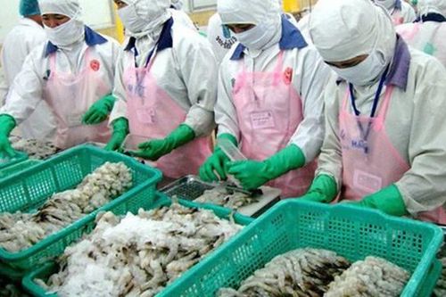 Rộng đường cho con tôm sang EU
