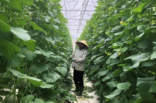 Đổi thay trên quê hương Can Lộc