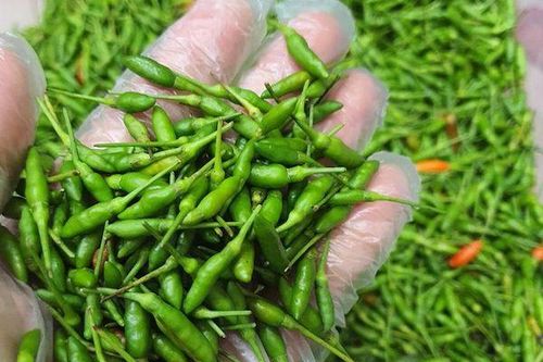 TP Hồ Chí Minh: Ớt gió Hà Giang gần triệu đồng/kg vẫn 'cháy' hàng
