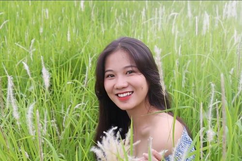 Những triền đê phủ trắng cỏ tranh ở Hà Nội