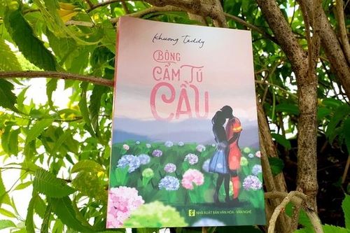 Những điều thú vị ở cuốn sách 'Bông Cẩm tú cầu'