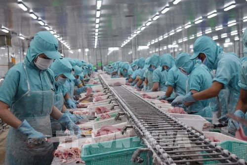 Đề xuất giảm thuế 'cứu' doanh nghiệp, kích cầu tiêu dùng