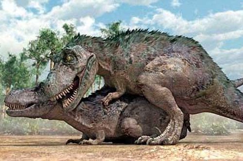 Khủng long 'ân ái' theo kiểu đối mặt?
