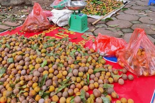Đặc sản sấu chín Hà Nội 'cháy hàng', có bao nhiêu cũng bán hết
