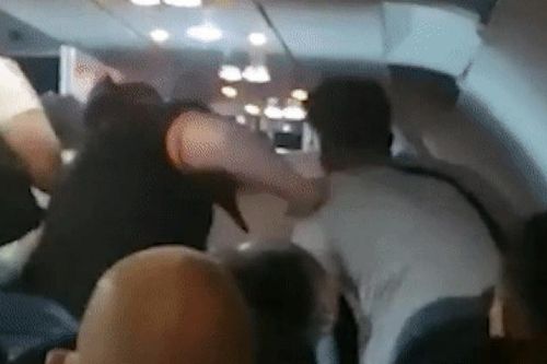 Bị cáo buộc kỳ thị chủng tộc, nam hành khách 'thẹn quá hóa giận' đánh người phụ nữ da màu
