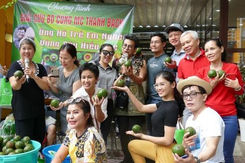 Giải cứu bơ, ủng hộ bà con nghèo vùng cao