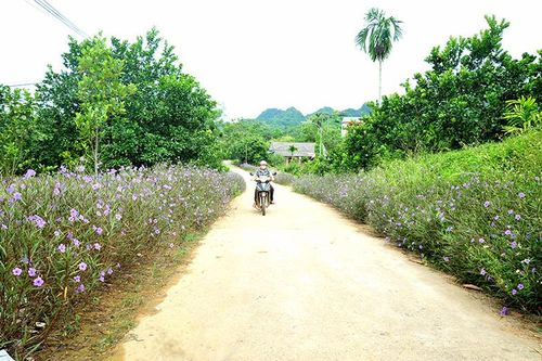 Nhân dân là chủ thể
