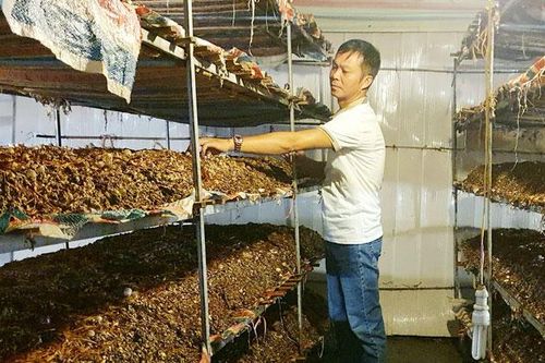 Về Đồng Liên xem nông dân làm giàu
