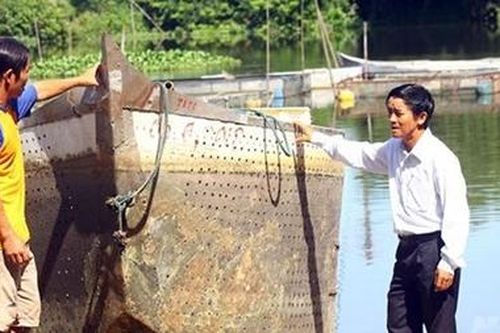 Hiệu quả từ việc nuôi cá bằng… thuyền nhôm
