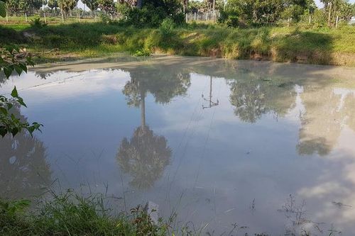 5 trẻ đuối nước tử vong thương tâm