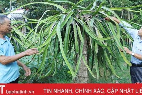 Ông trưởng thôn nhiệt huyết đưa 'xóm núi' ở Hà Tĩnh trở thành khu dân cư kiểu mẫu