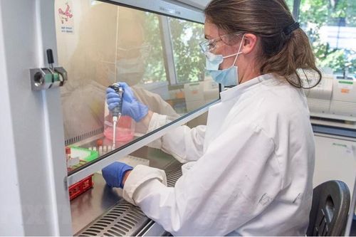 AstraZeneca nối lại thử nghiệm vắcxin ngừa COVID-19