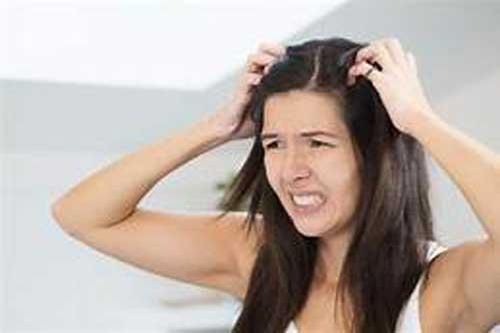 Tuyệt chiêu trị gàu từ nguyên liệu sẵn có trong bếp