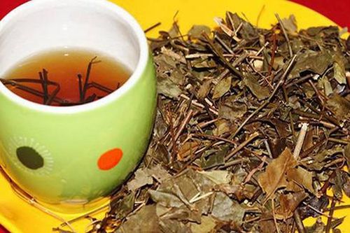 Loạt tác dụng tuyệt vời đối với sức khỏe của nước lá vối