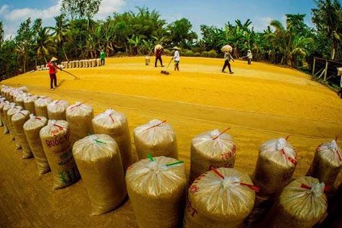 Bộ Công Thương ban hành Chỉ thị về bảo đảm an ninh lương thực quốc gia đến năm 2030