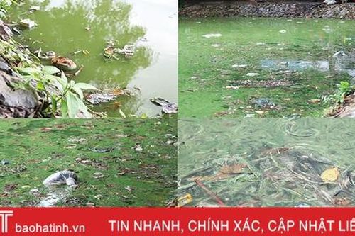 'Hồ Gươm thu nhỏ' ở phố núi Hà Tĩnh vẫn ô nhiễm nặng, mất tác dụng điều hòa
