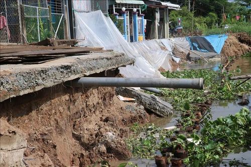 Áp dụng biện pháp khẩn cấp khắc phục tình trạng sạt lở bờ Tây sông Cần Lố