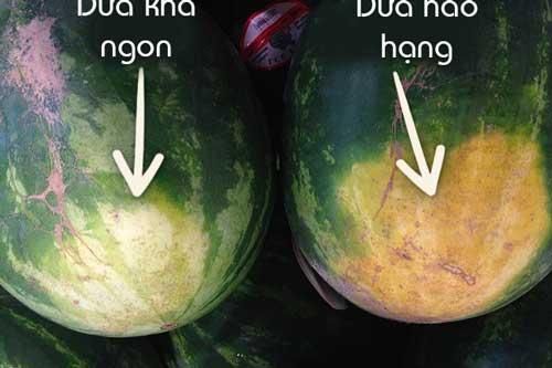 5 điểm 'vàng' trên quả dưa hấu cho bạn biết chính xác độ ngon ngọt, đảm bảo chọn 10 quả thì ngon cả 10
