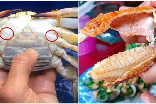 Muốn chọn ghẹ tươi ngon, nhiều thịt cứ ấn nhẹ vào điểm này, đảm bảo 'bách phát bách trúng'