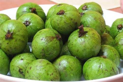 Những bài thuốc chữa bệnh cực hiệu nghiệm từ quả sấu