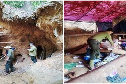 Đà Nẵng: Phát hiện 3 hầm vàng chuẩn bị khai thác trái phép tại rừng Hòa Bắc