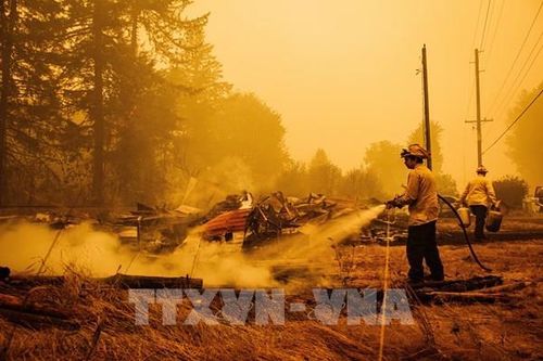 Mỹ: Cháy rừng hoành hành tại bang California và Oregon