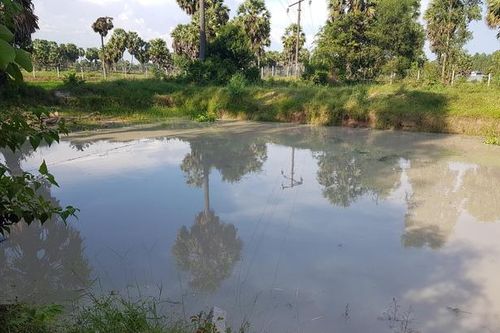 Rủ nhau tắm ở hồ nước, 5 em nhỏ ở An Giang tử vong thương tâm