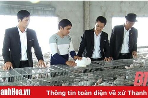 Thôi công chức xã, về nhà nuôi thỏ đem lại hiệu quả cao