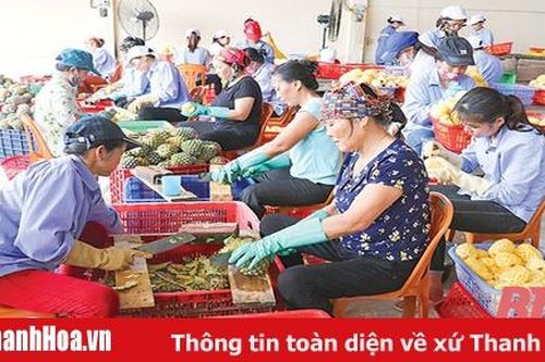 Huyện Nông Cống nỗ lực thành lập mới doanh nghiệp