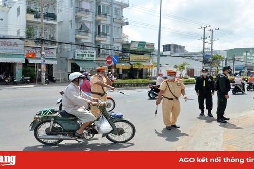 Xử phạt hành chính 1.230 trường hợp vi phạm trật tự an toàn giao thông