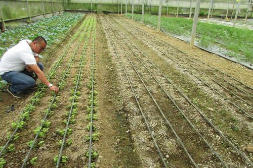 Để mở rộng diện tích tưới tiết kiệm