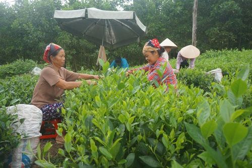 Phát huy vai trò 'cầu nối' giữa Đảng với dân
