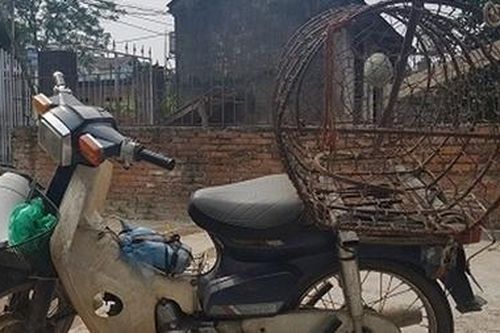 Tử vong khi đang chờ mua chó
