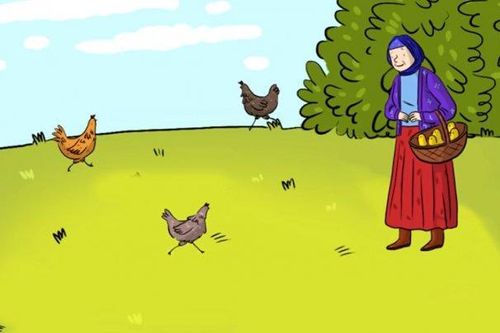 Câu đố gà đẻ trứng hóc búa, bạn có câu trả lời trong bao lâu?