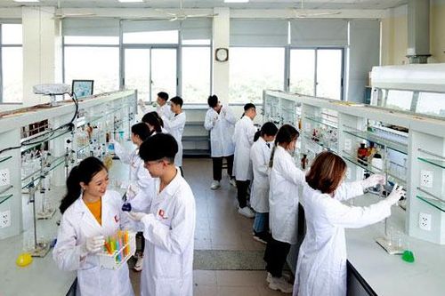 Phát huy giá trị văn hóa, sức mạnh con người Việt Nam