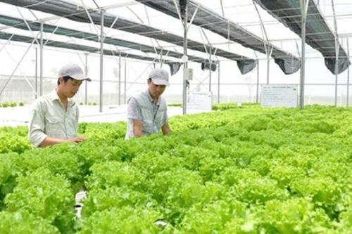 Số hóa chuỗi cung ứng nông nghiệp