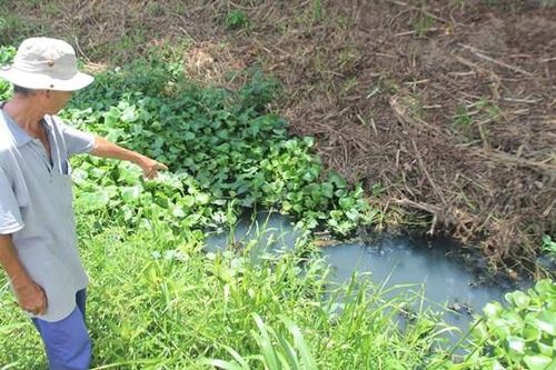 Quảng Ngãi: Dân bức xúc vì các nhà máy gây ô nhiễm môi trường