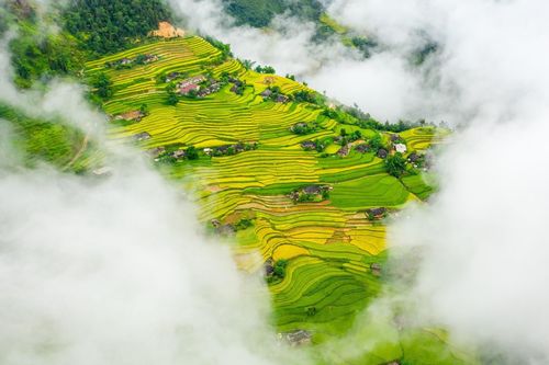 Mùa lúa chín ở Hoàng Su Phì