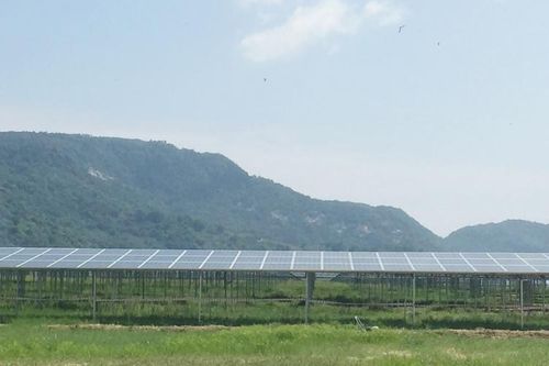 Tập đoàn Sao Mai khởi động Nhà máy điện mặt trời